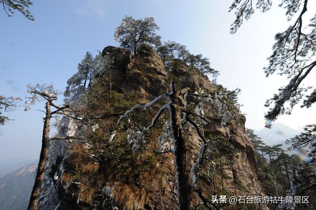 霜染西黄山，新岁诗意浓
