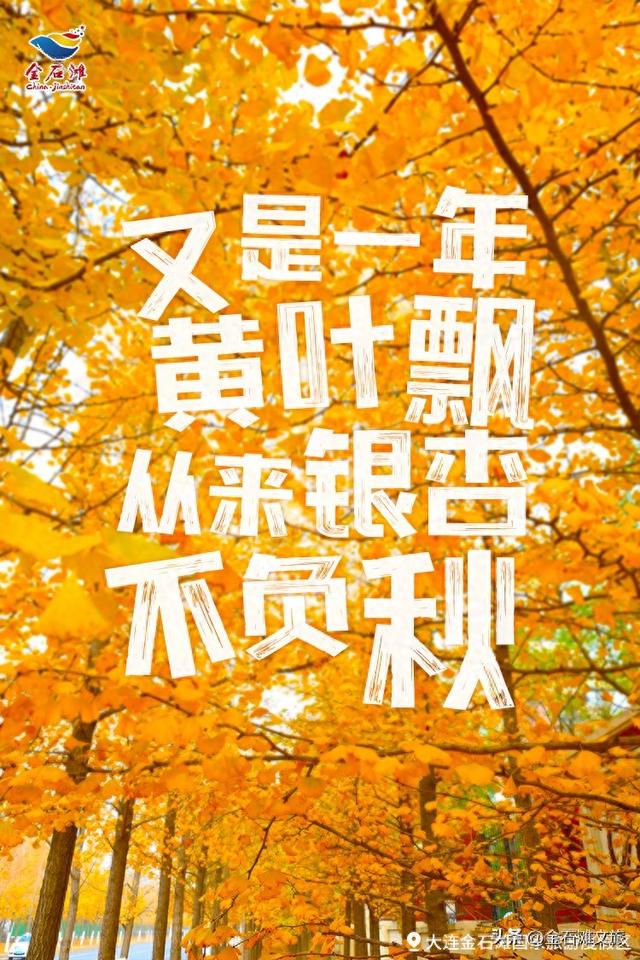 金石滩金秋限定款攻略