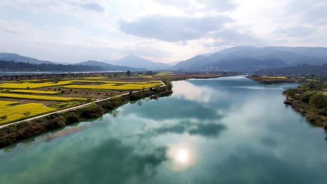 金浪翻涌醉春光 乐山嘉农粮蔬基地油菜花田美如画