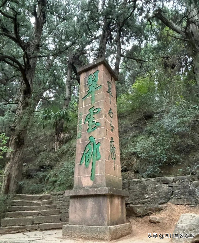 省地调院实景三维赋能文化遗产保护之广元翠云廊的“数字焕新”