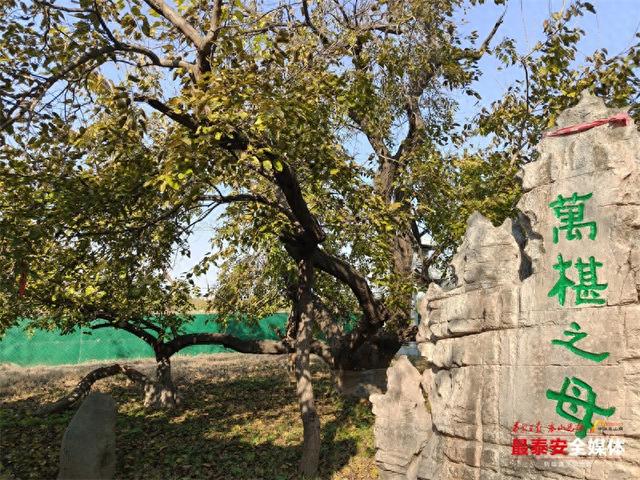 沿着黄河遇见海丨农旅融合多元业态让古老黄河故道焕发新生