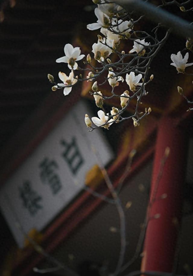 山郡逢春复乍晴这首诗写的是哪个城市（诗里诗外）