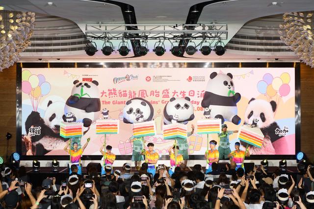 8月预定增70%！香港海洋公园掀起“熊猫热”