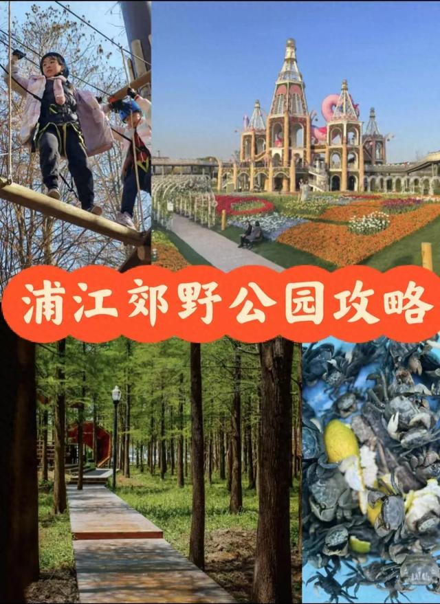 都市绿洲,童话秘境:上海浦江郊野公园完全探索指南