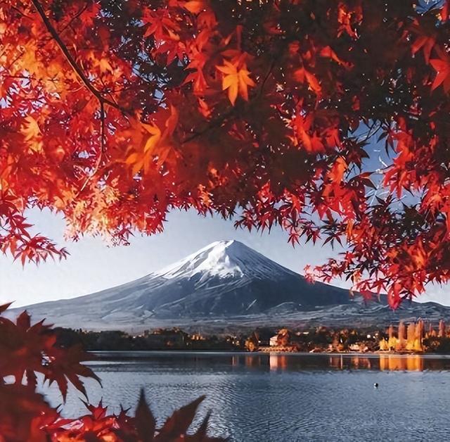 不听劝去日本的游客慌了，滞留机场连吃饭都成问题，当初为啥要去