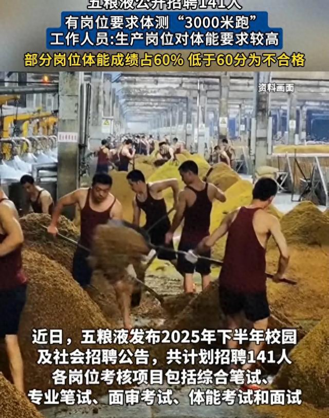 入职需跑步体测！茅台、五粮液、习酒高薪岗位标准曝光