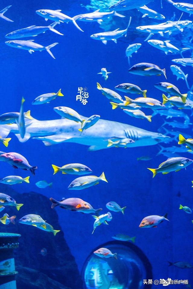 秒降10℃！就在极地清凉湾