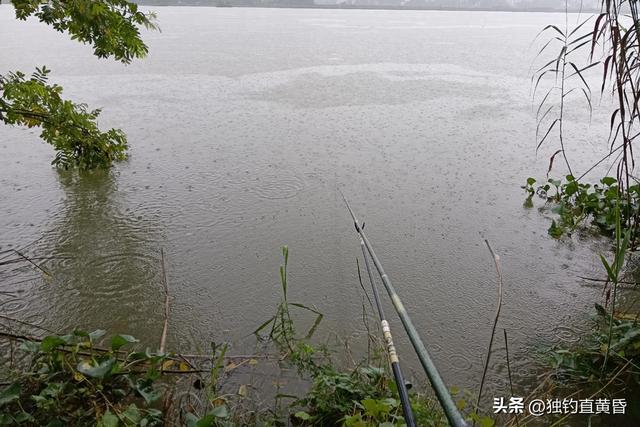 注意，不要随便吃钓鱼人送的鱼
