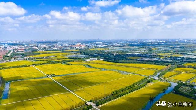 美爆了！苏州秋日大片，上新了！