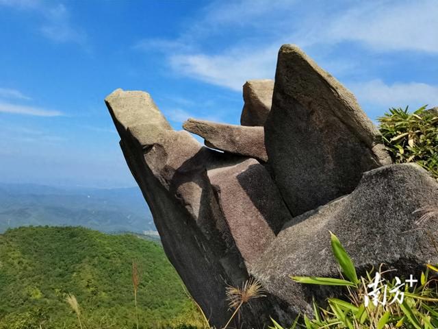 佛山藏着个“身心香养”秘境，年底就能住进山水里