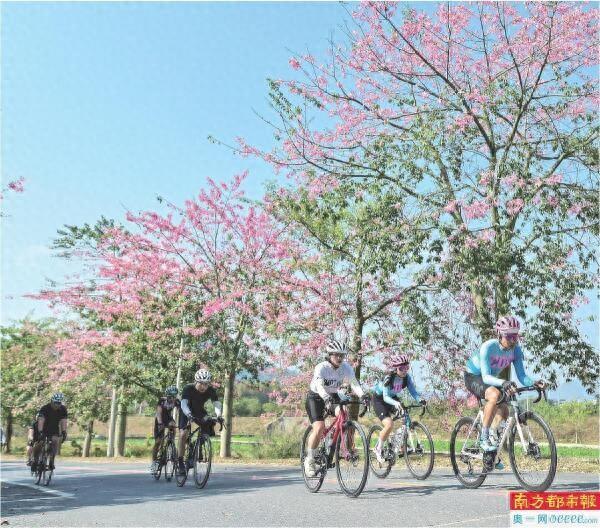 广州增城百公里骑行赛道上 六千骑友阅卷“百千万工程”