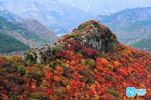 来潍坊青州锯齿崖，共赴一场秋日绮梦