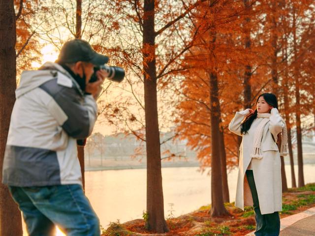 每日一景丨长葛清潩河藏不住了！水杉红透，冬日浪漫值拉满