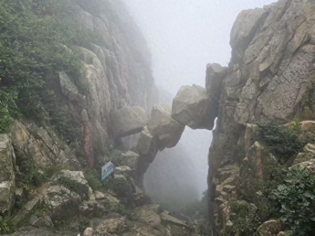 夏游泰山记