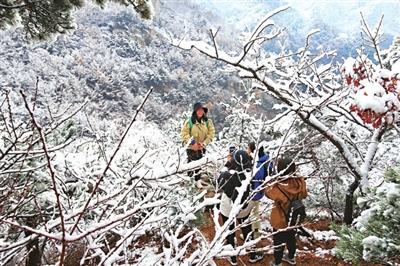 全年不重样！我市发布2026年文旅消费促进活动计划元月启程，请你看海赏鸥辞旧迎新