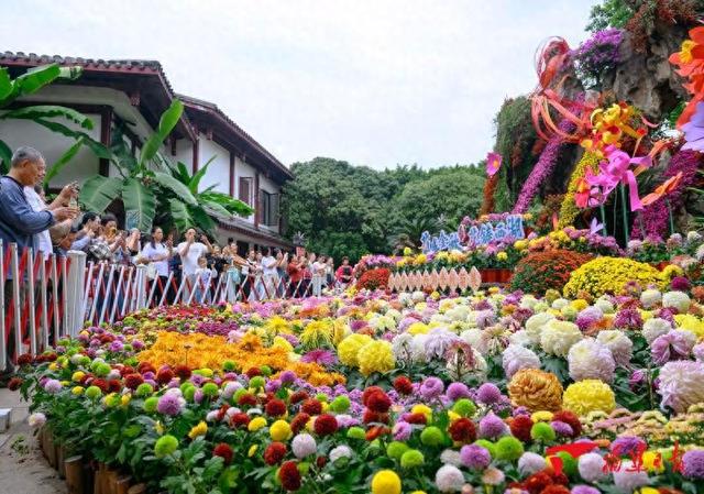 “菊盛金秋·花铸西湖”——福州西湖菊展开幕