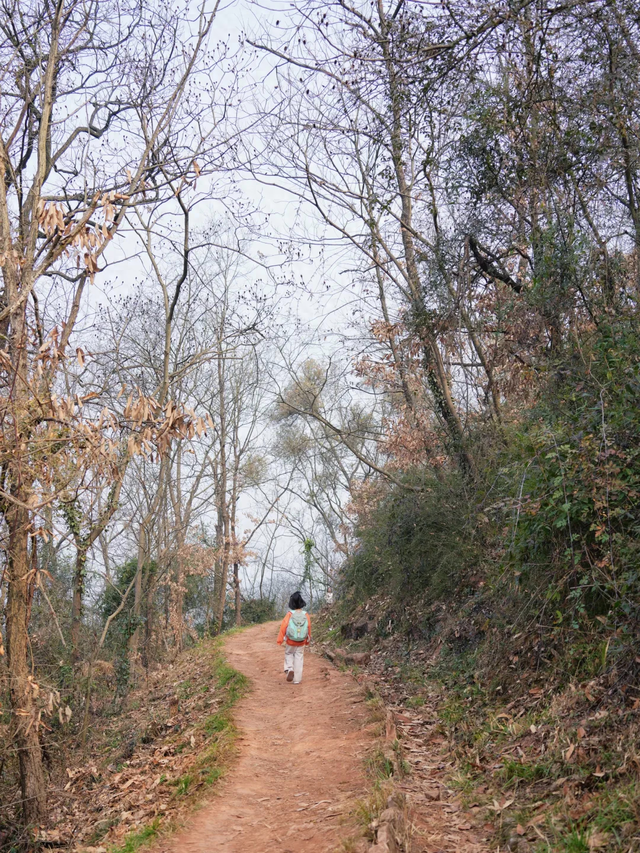 成都周边1h！公交直达的野趣山脊，新手亲子徒步首选！
