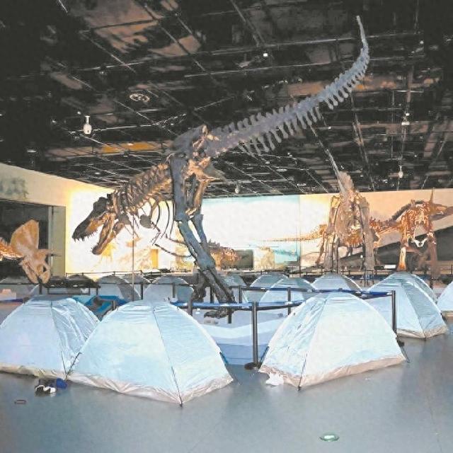 探秘“博物馆奇妙夜” 在“霸王龙脚底下”睡觉有多酷？