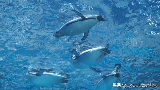 excel方差函数公式（WPS 里的 总体波动测量仪VARP 函数算出数据方差）