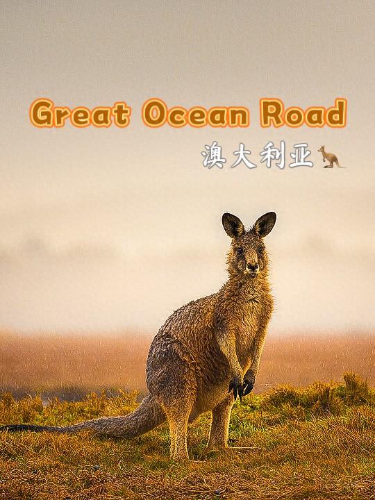 澳大利亚墨尔本｜大洋路自驾游攻略｜史上最浪的海岸线