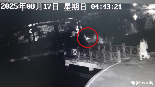 凌晨4点，彭秀芝（男，58岁）纵身跳下