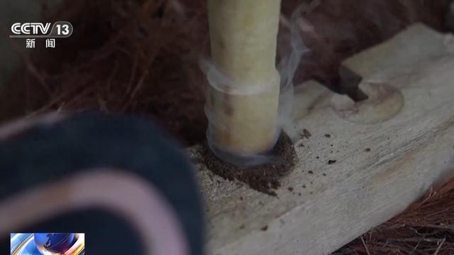 研学游持续升温 走进“绿色课堂”来一场沉浸式自然探索吧