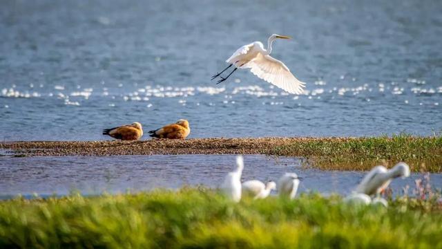 大理的秋天仙品→