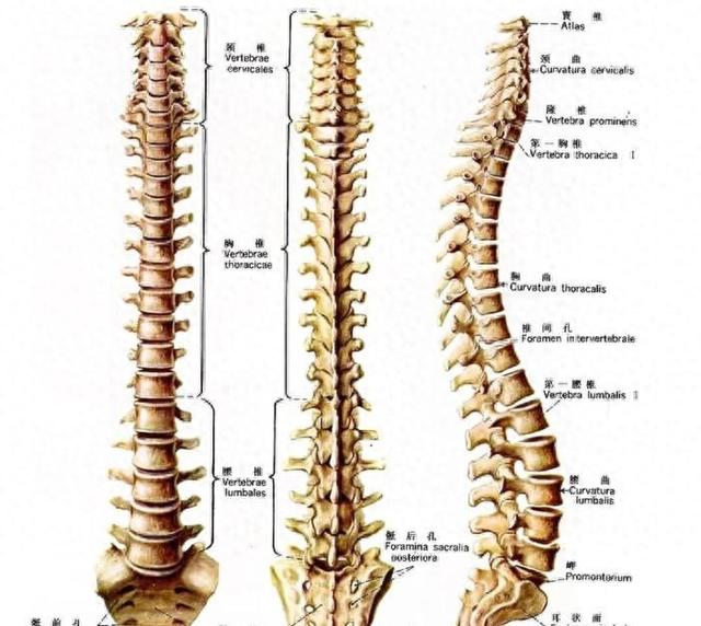 传动力dnf无敌（站桩总没进步5个关节辅助功法）