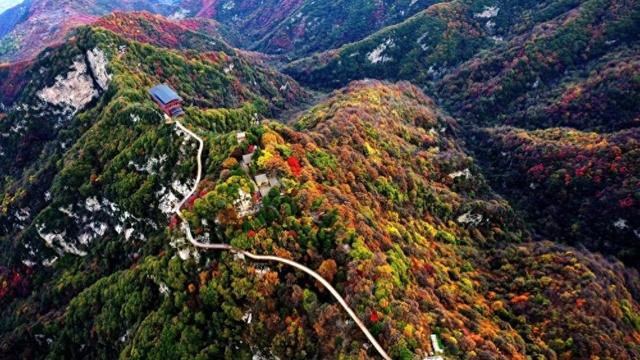 陕西少华山:秦岭红叶引客来 擦亮“秋日名片”