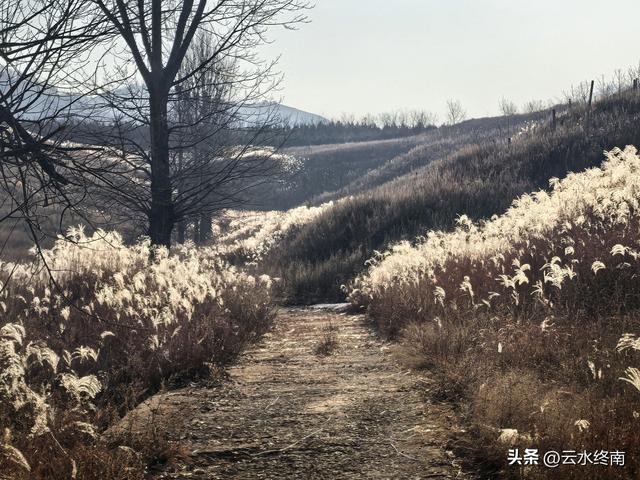游览了这片芦花后，我又到蓝田这个没有拆掉的村子，见到这些老人