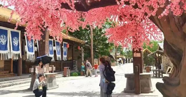 铜川市王益区：文商旅深度融合激活区域发展新动能