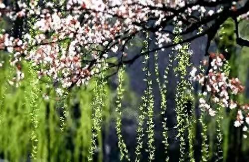 山河半世内购破解版（天要帮你）