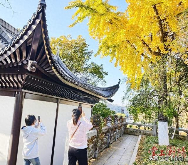 石鼓书院冬韵渐浓 景色如画