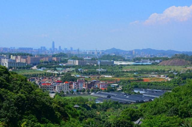 三国9五小虎登场（广东四小虎的概述）