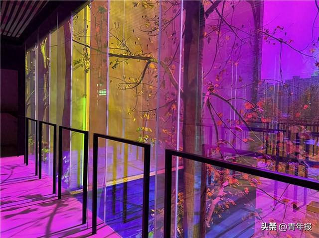 多家A级景区门票半价！旅超大赛宝山站开启→