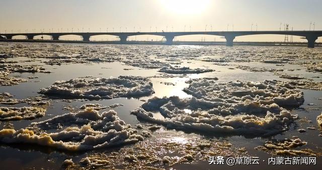 来看黄河流凌，年度最壮观！