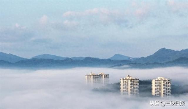 湖北宜昌：“候鸟族”点亮绿水青山