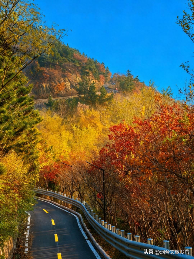 【乐游烟台】徒步天花板！烟台市区惊现山海画廊