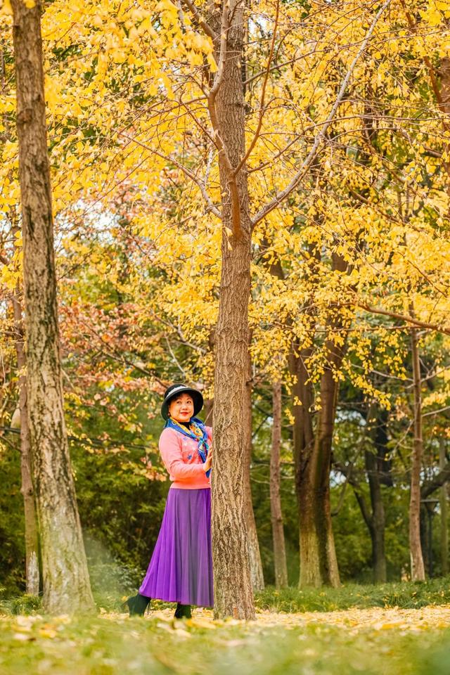 今日大雪 | 打卡这里,定格冬日专属美照