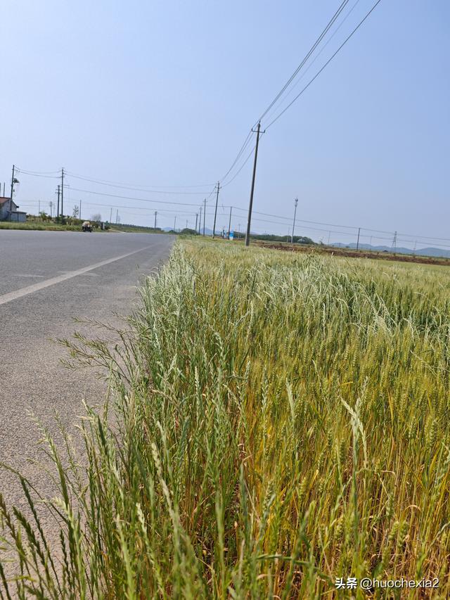 隔壁的城市走一走——镇江丁岗五七林场