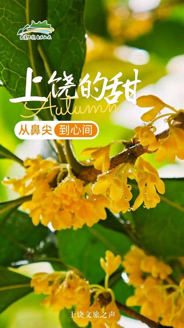 全城甜蜜！上饶的秋日甜到你心间
