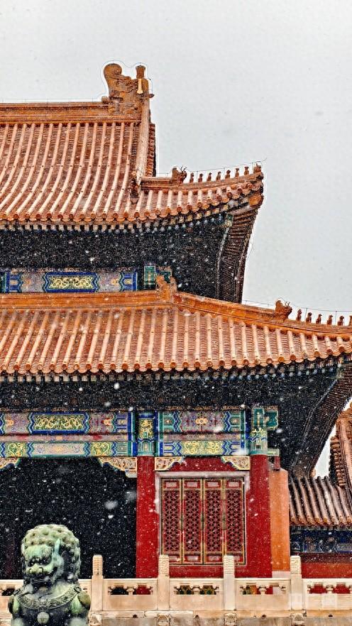 组图｜雪落故宫 一眼惊鸿 故宫初雪高清图来了