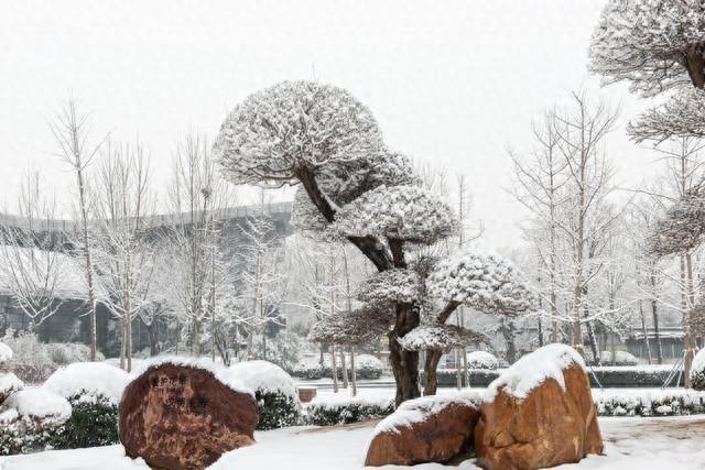 河南这场大雪，把中原大地变成水墨画！