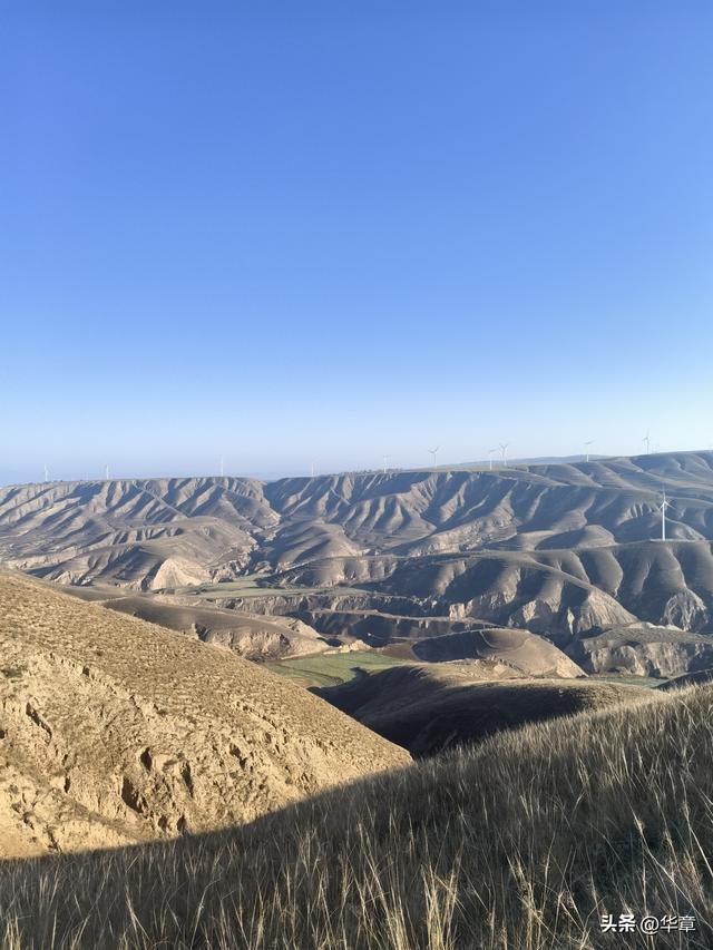 旱塬涅槃：张家塬乡，一座国家级农业主题公园的梦想