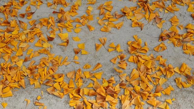 注意！“天才画家”正在肥城市高新区执笔挥毫！惊喜呈现！