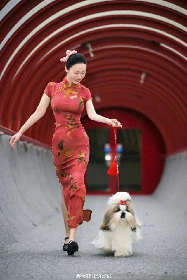 霍思燕传喜讯！杜江激动发文：开心疯了