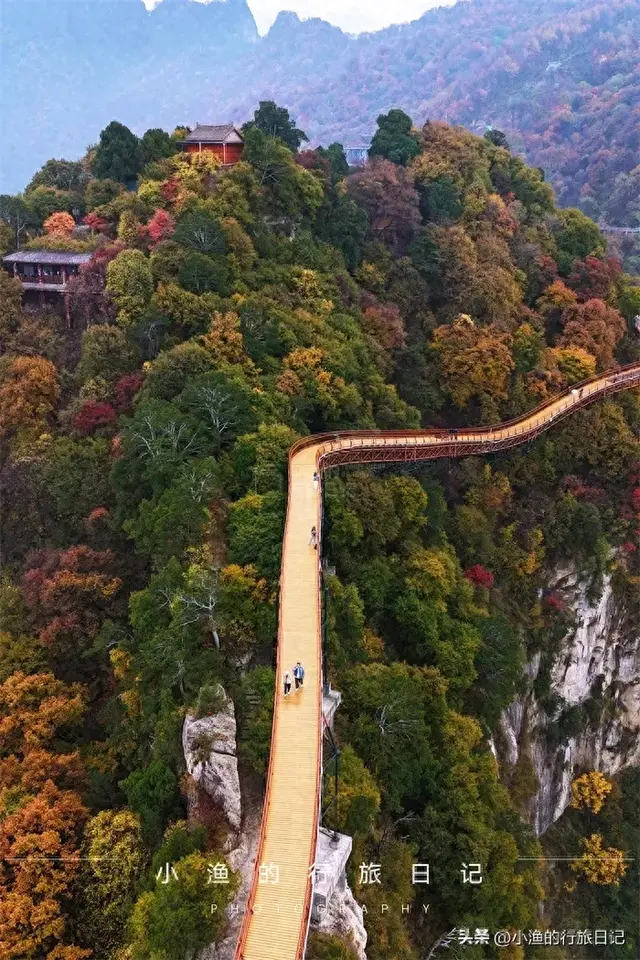 红叶、玻璃湖、悬空栈道！陕西秦岭绝美赏秋地，又到一年最美时
