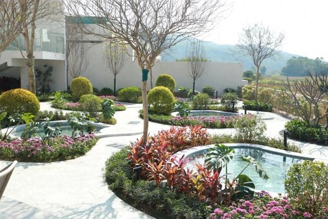 快来泡温泉！这个高速服务区正式开门迎客