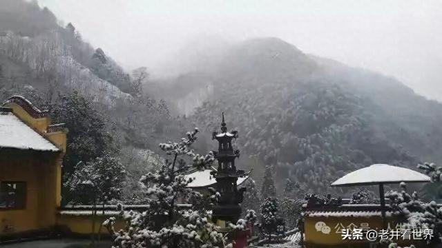 雨雪龙须禅寺 || 胡成江
