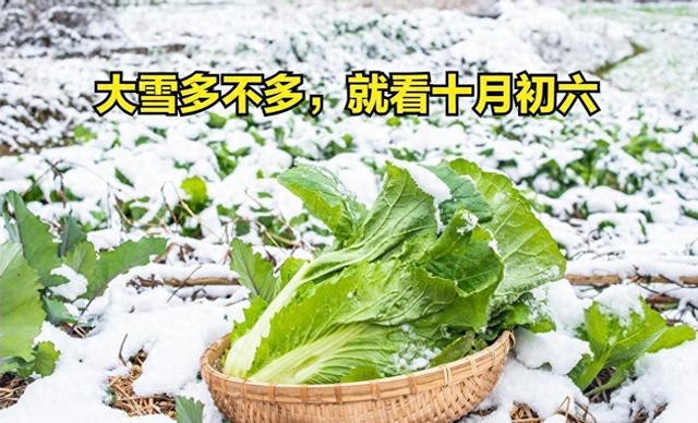 十月初六决定冬季命运？ 气象局回应：今年冬天偏暖但需警惕这一点
